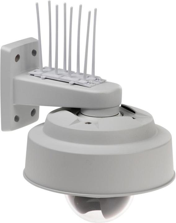 Actual product image Axis Bird Control Spike (Mounting kit)
