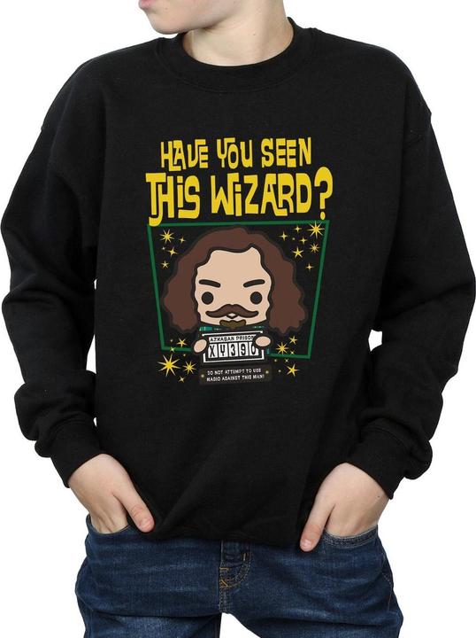 Produktbild Sirius Black Azkaban Junior Sweatshirt Jungen (152, 158)