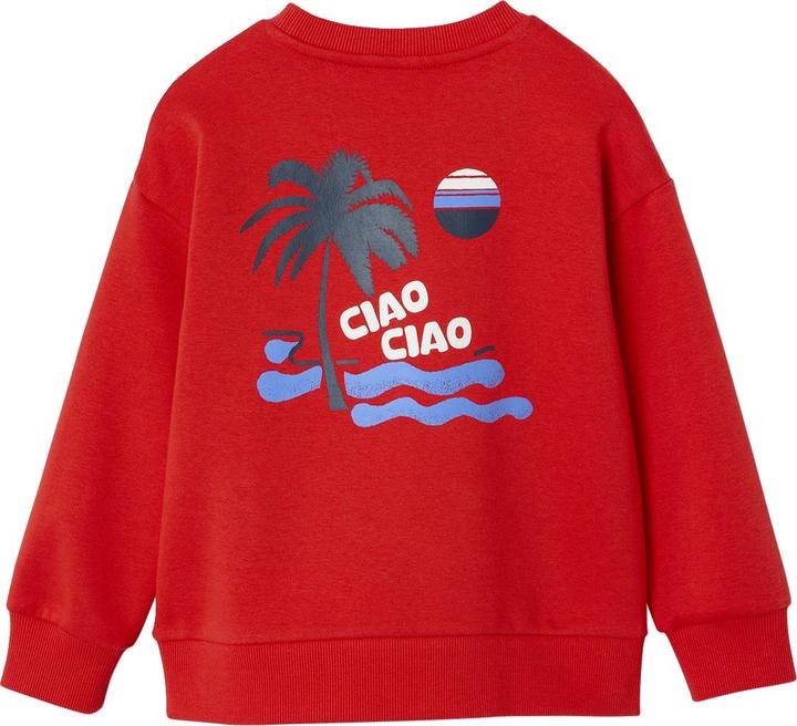Produktbild Vertbaudet Jungen Sweatshirt mit Urlaubsmotiv hinten, Recycling-Polyester (158)