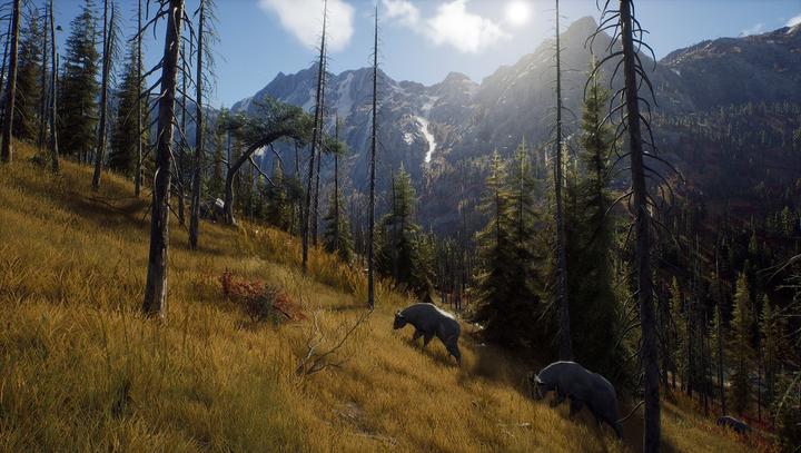 Actual product image THQ Way of the Hunter (PS5, EN, FR, IT)