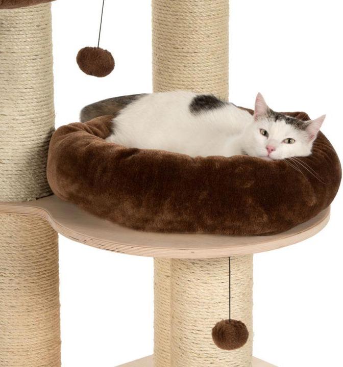 Produktbild GeoP Katzenbaum Natural Paradise L (130 cm, Dunkelbraun)
