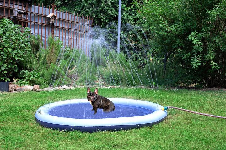 Produktbild Infactory Wasser-Spielmatte für Kinder und Hunde