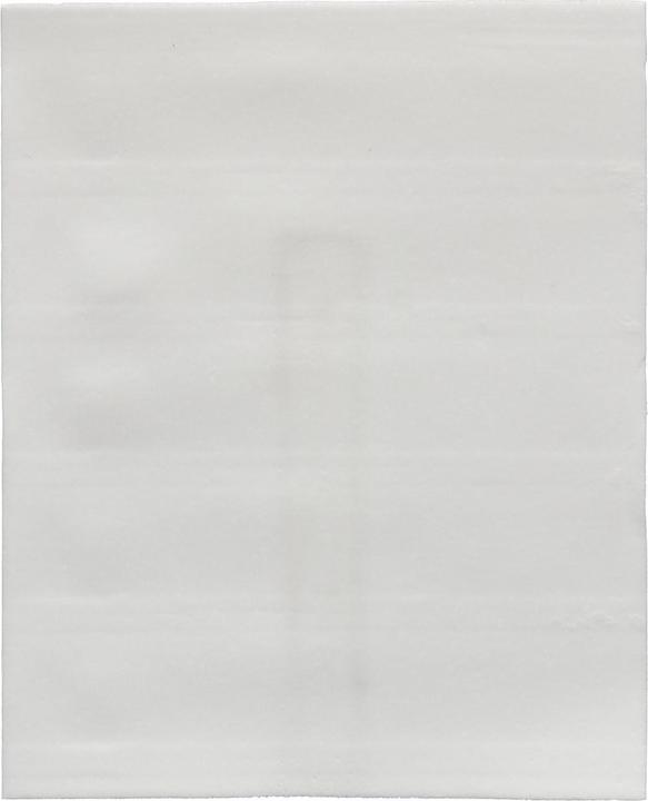 Immagine prodotto bluu Salviette Eco universali Alpenfrische (60 Cicli di lavaggio, Salviette)