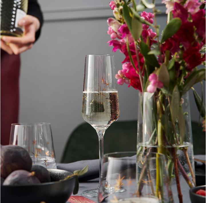 Image du produit Ritzenhoff Celebration Deluxe Flûte à champagne (23.30 cl, 2 Verres, Flûtes à champagne)