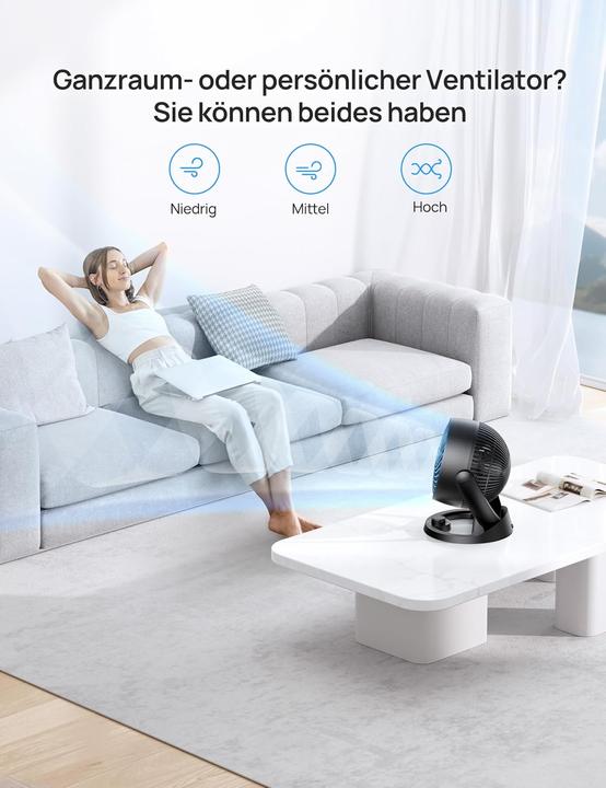Actual product image Dreo Tischventilator (28 dB)