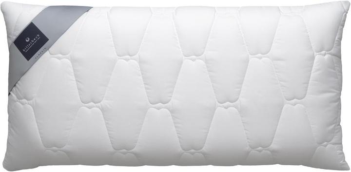 Immagine prodotto Billerbeck Novum (50 x 70 cm)