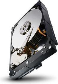 Immagine prodotto Seagate Capacità aziendale - 3,5" SATA 6Gb/s - 6TB (6 TB, 3.5")