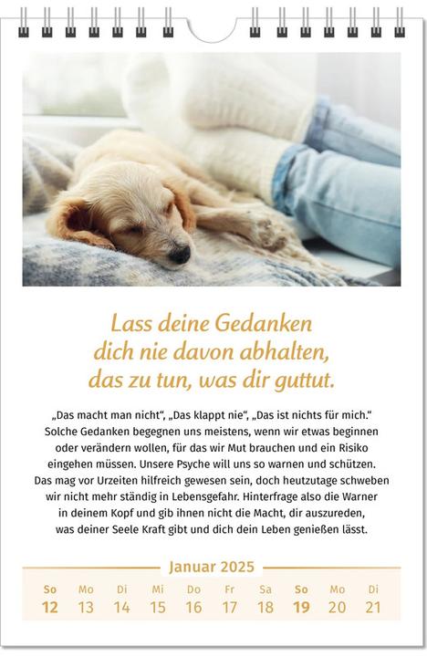 Produktbild Der Lebensfreude-Kalender (Kein Einband, Deutsch)