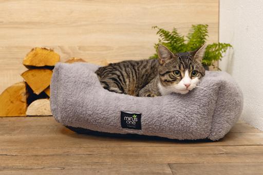 Produktbild Beeztees Nox (Katze)