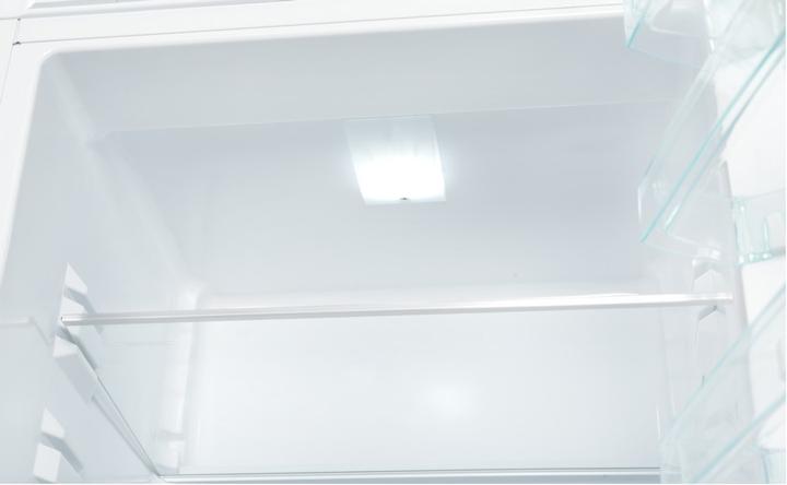 Actual product image Snaige RF31SM-S0002E0 (267 l)