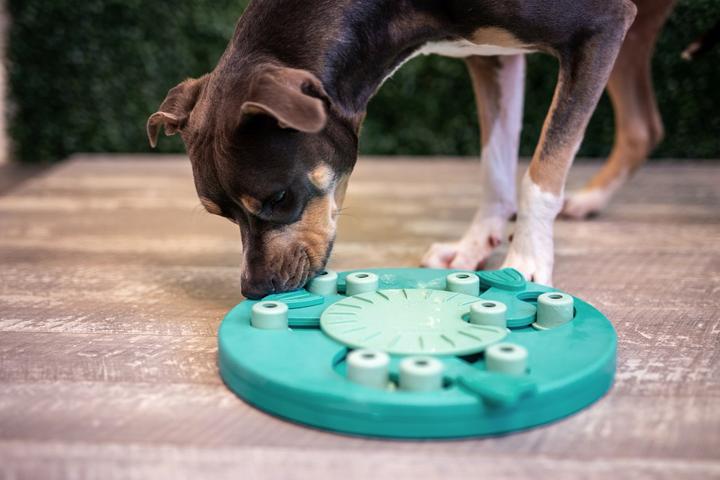 Actual product image Nina Ottosson Dog Worker Composite Level 3 (Intelligence toy dog)