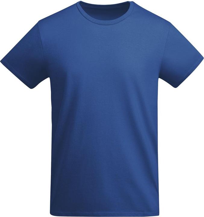 Bleu roi