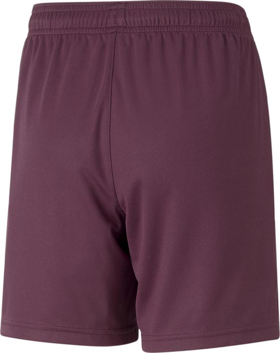 Actual product image Puma teamLIGA Shorts Jr (128)