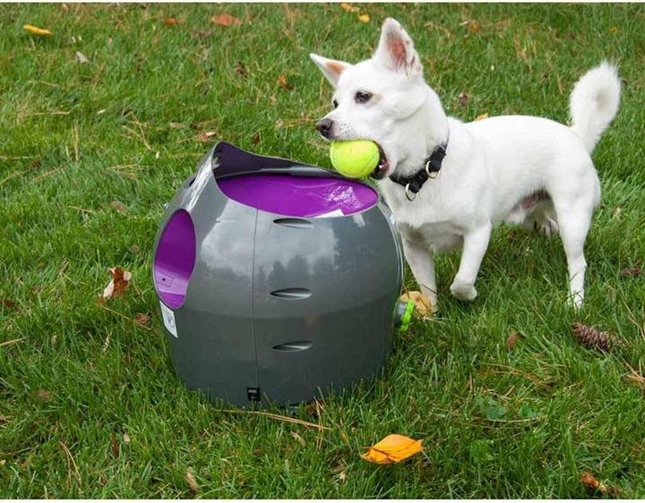 Image du produit PetSafe Lanceur de balles (Jouet à balle chien)