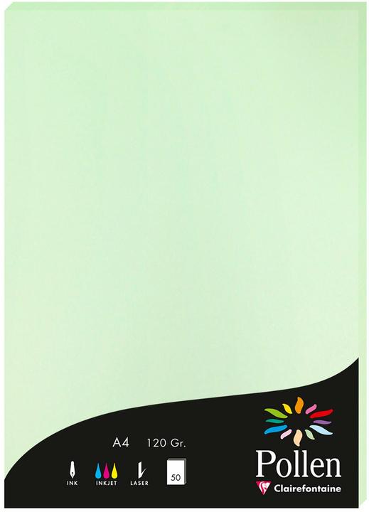 Actual product image Pollen Paper (120 g/m², 1 x)