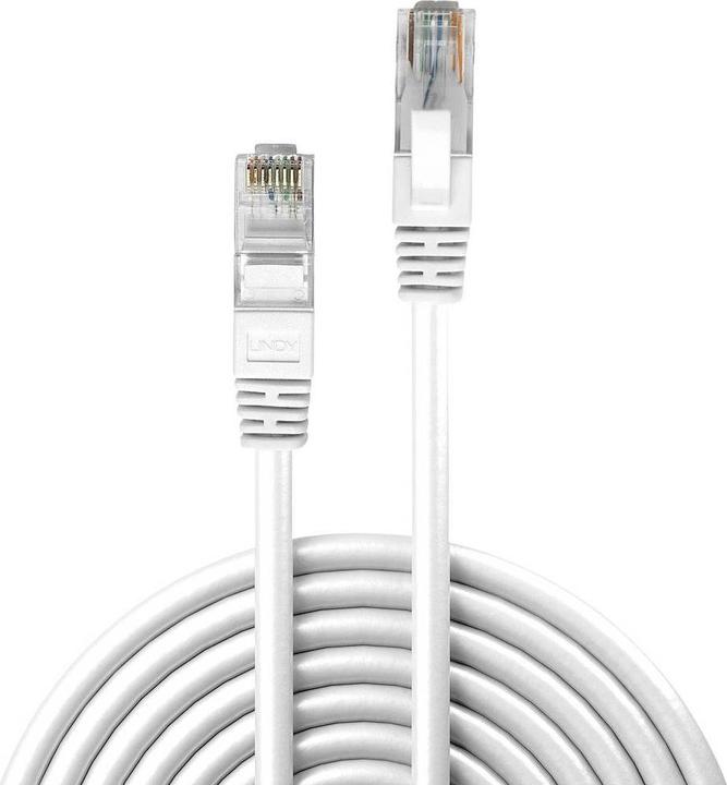 Image du produit Lindy Câble réseau (U/UTP, CAT6, 30 m)