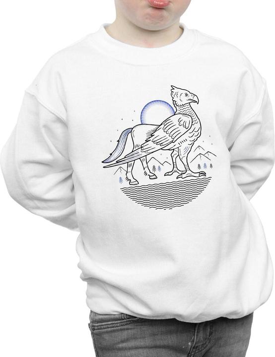 Actual product image Boys Buckbeak Line Art Sweatshirt (140, 146)