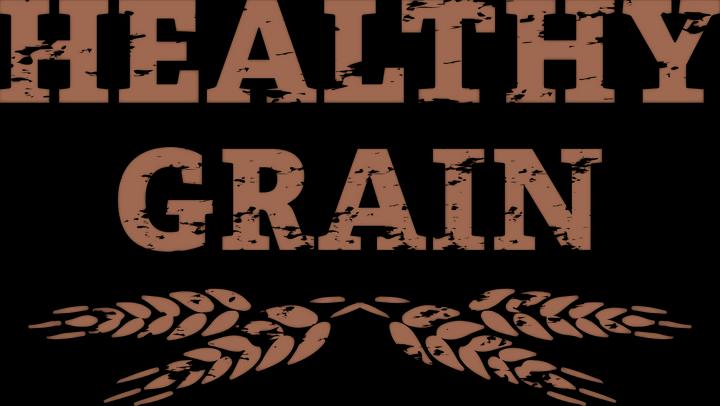Actual product image Raw Paleo Healthy Grain Puppy Salmon & Barley (Puppy + kitten, 1 pcs., 2000 g)