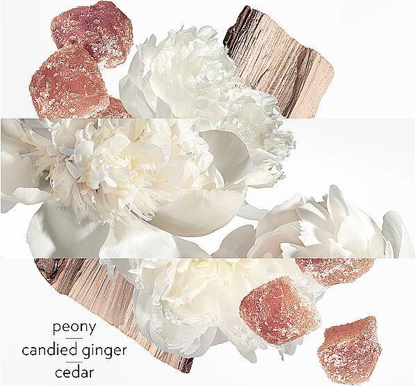Image du produit Hermès Eau Ginger Eau de Parfum (Eau de parfum, 50 ml)