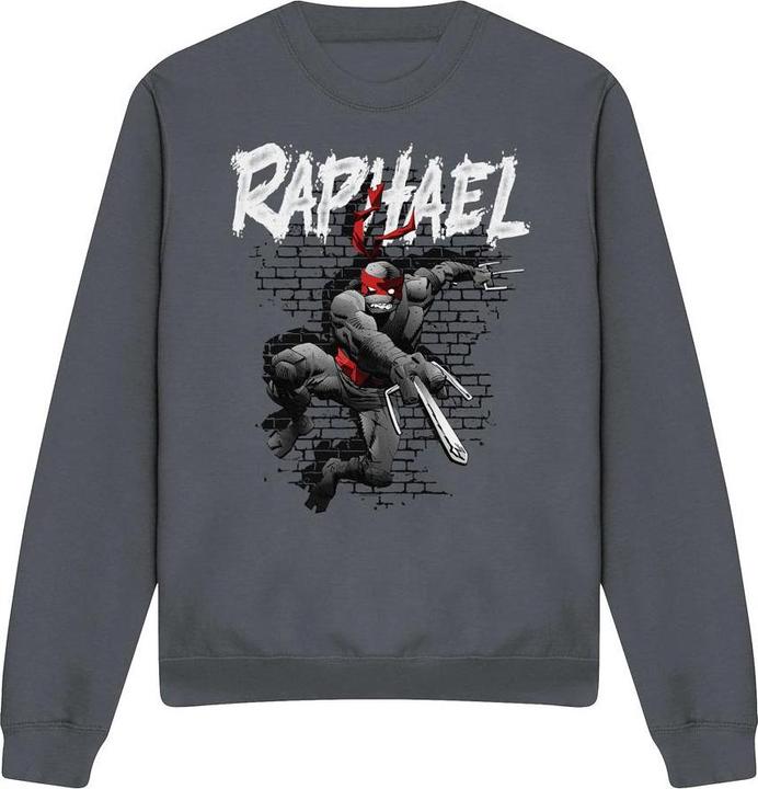 Immagine prodotto Teenage Mutant NT Felpa Raffaello Adulto Unisex (XXL)