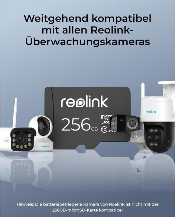Immagine prodotto Reolink MicroSD (256 GB, microSDXC, U3, UHS-I)
