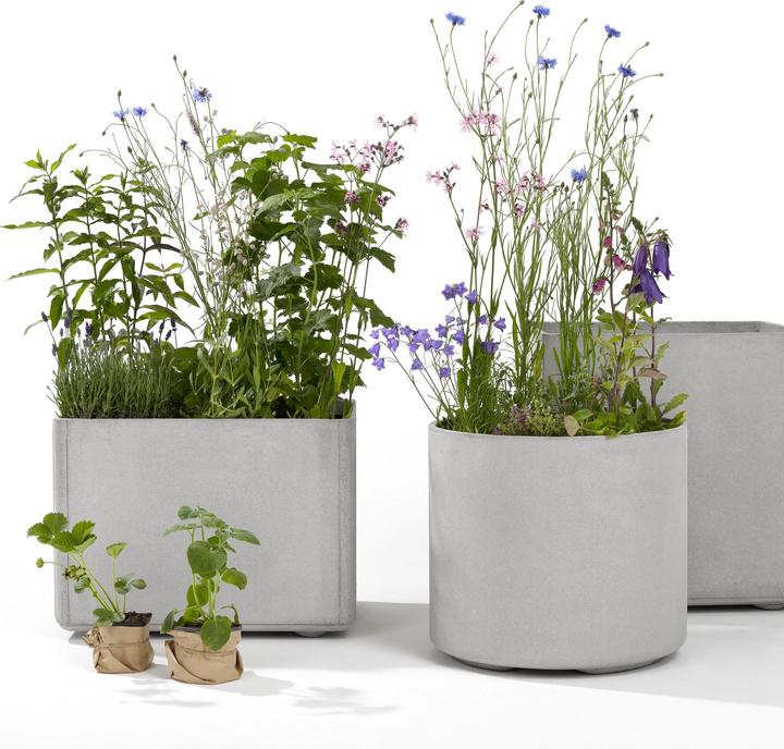 Image du produit Eternit Delta (55 cm)