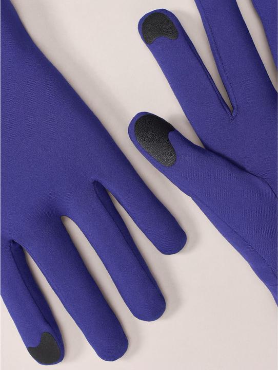 Immagine prodotto Arc'teryx Rho (M)