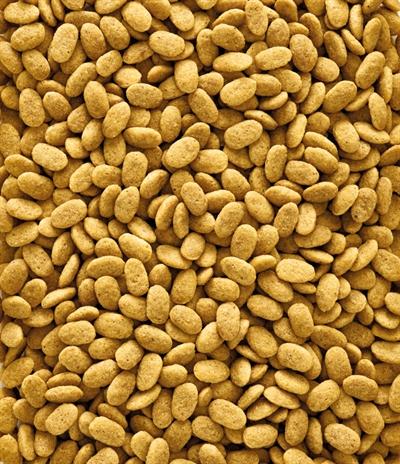 Image du produit Versele Laga NutriBird P15 Original, entretien 10 kg (10 kg)