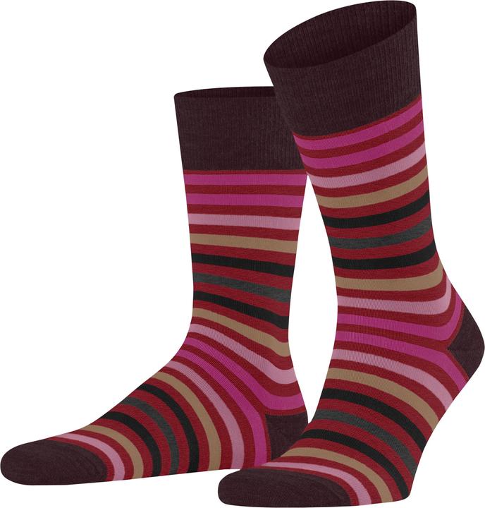 Falke Tinted Stripe SO