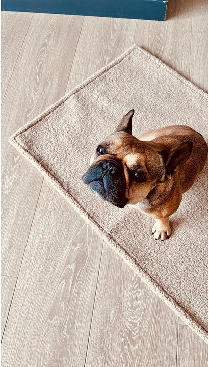 Immagine prodotto Laboni Copertina Teddy L (Cane)