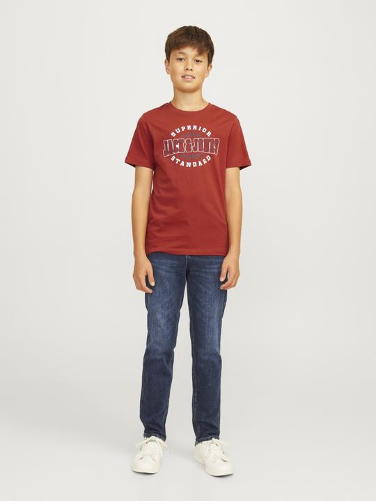 Produktbild Jack & Jones JJELOGO TEE SS ONECK 2COL 24/25 NOOS JNR (176)