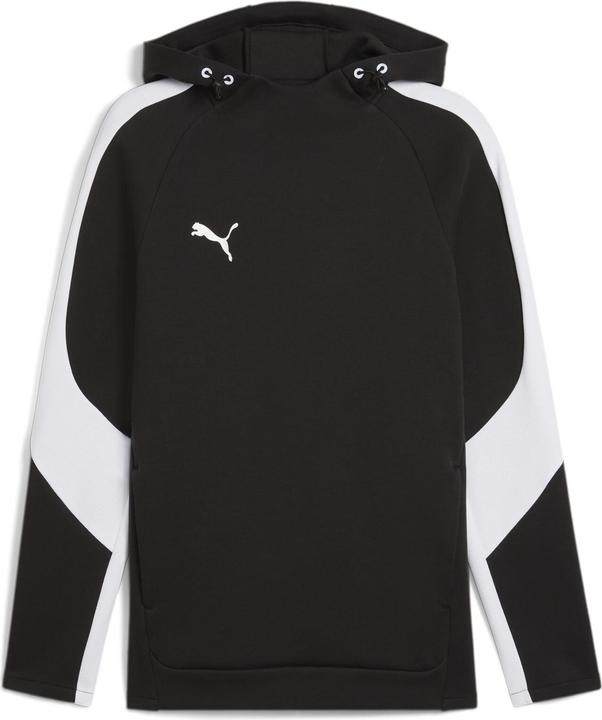 Puma teamEVOSTRIPE Hoody
