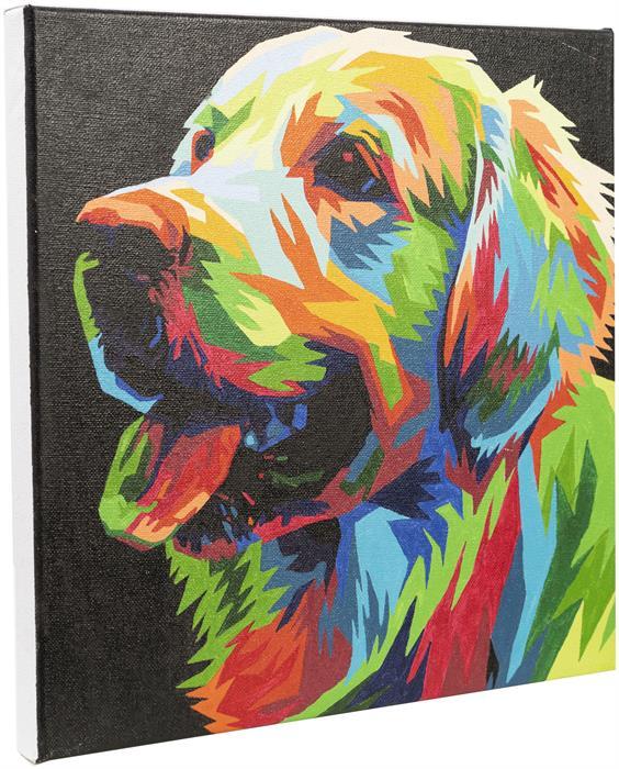 Immagine prodotto Craft Buddy Set di quadri Painting by Numbers 30x30cm Cucciolo colorato