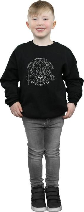 Image du produit - Sweat GRYFFINDOR SEAL - Garçon (140, 146)
