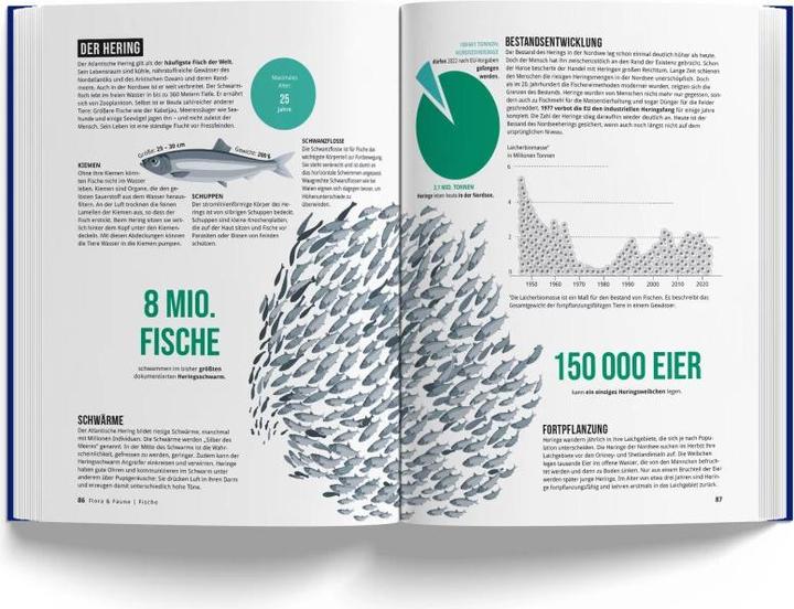 Immagine prodotto Il libro del Mare del Nord