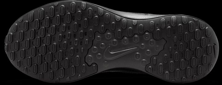 Image du produit Nike Révolution 7 (45)