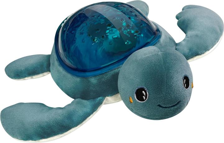 Actual product image Pabobo Turtle