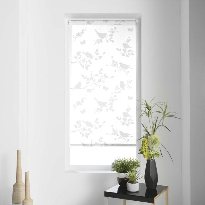 Image du produit Casativo Store pare-vue jour et nuit (60 x 90 cm)