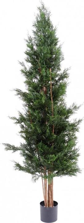 Produktbild Greendeco Künstliche Zypresse Thuja, ca. 180cm (UV-Beständig) (180 cm)