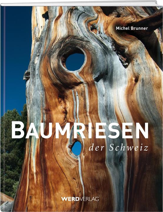 Produktbild Baumriesen der Schweiz (Deutsch, Michel Brunner, 2014)