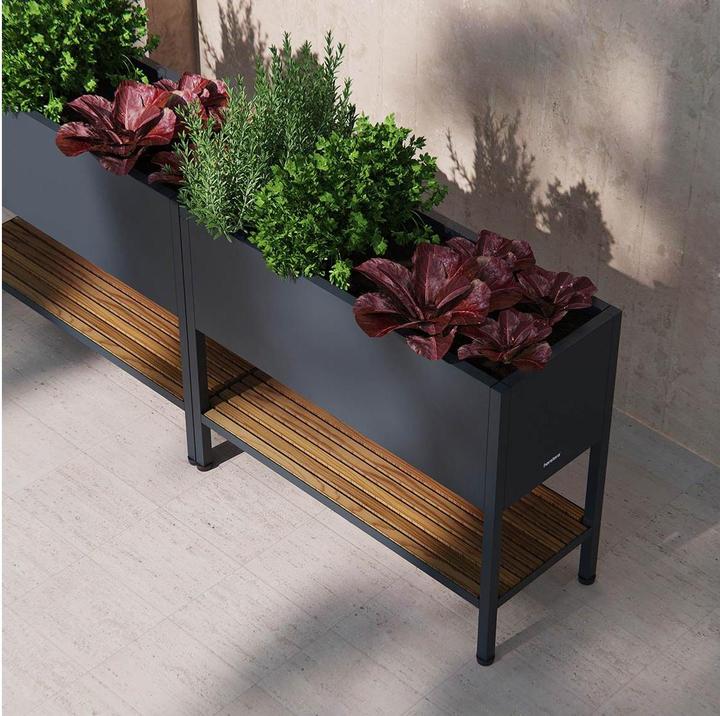 Immagine prodotto Herstera Deco Grow