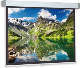 Actual product image Projecta Hapro CSR 213x280 MW 4:3 no Border (133", 4:3)