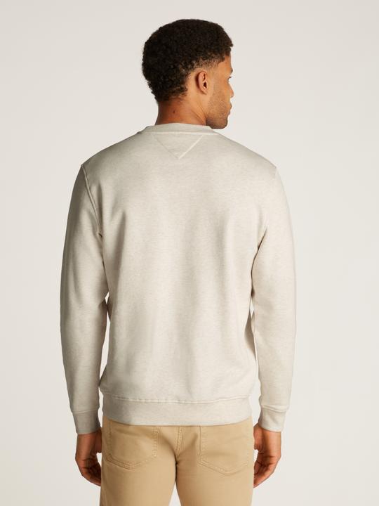 Actual product image Tommy Jeans Tjm Reg Linear Crew Ext (M)
