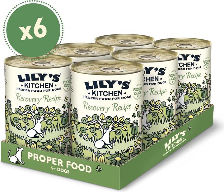 Produktbild Lily's Kitchen Recovery Recipe (Adult, 1 Stk., 400 g)