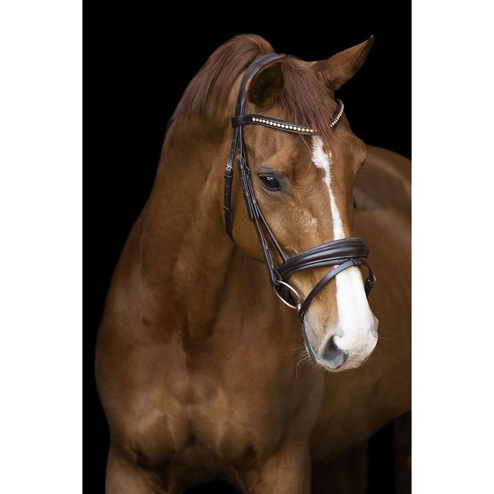 Actual product image Imperial Riding Fria