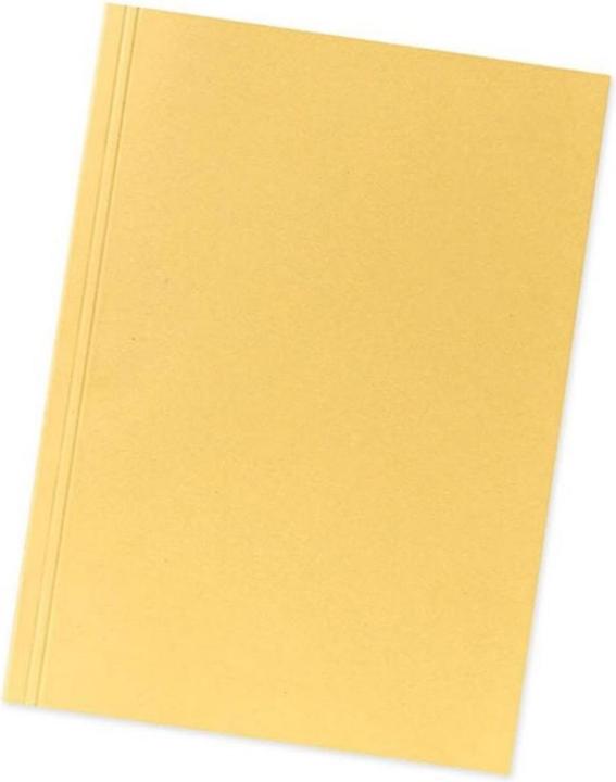 Image du produit Falken Chemises en carton, Jaune (A4, 100 x)
