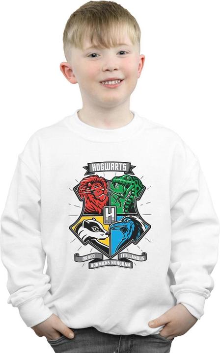 Produktbild Hogwarts Toon Crest Sweatshirt Jungen (140, 146)