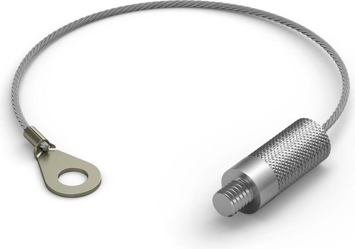 Actual product image Philips Hue Secure Anti-Theft Cable (Cable)