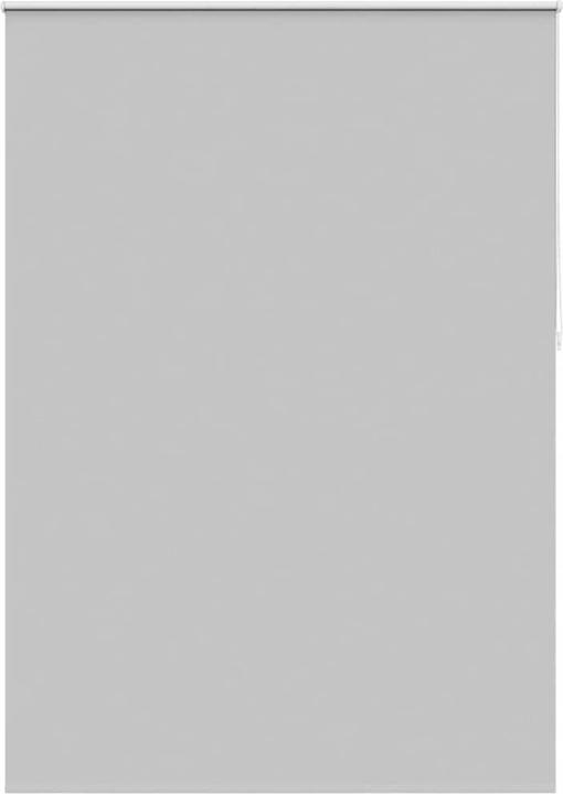 Gris