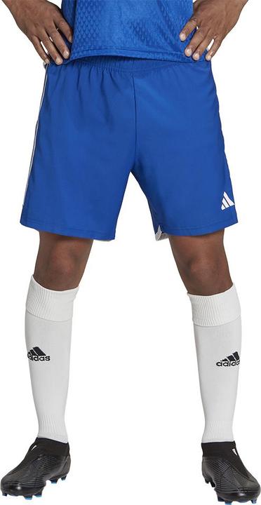 Actual product image adidas Tiro 23 Competition Match training shorts men (L)